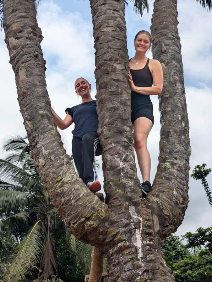 Boti Falls, Umbrella Rock, Aburi Gardens & Cocoa Farm Tour - Boti Falls and the forest route to the twin cascades