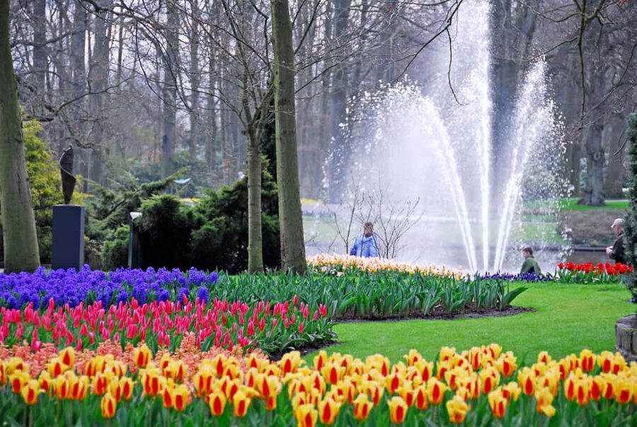 Brussels: Holland Keukenhof & Kinderdijk Guided Day Tour - Meeting in central Brussels