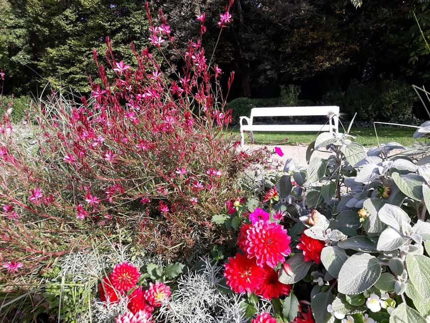 Budapest: Best Gardens Walking Tour & Folk Music Performance - Gul Baba’s Tomb and the opening walk