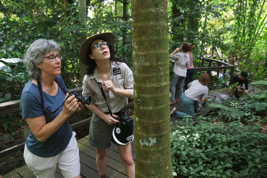 Cairns: Insect Photography Tour of Cairns Botanic Gardens - What to wear and bring