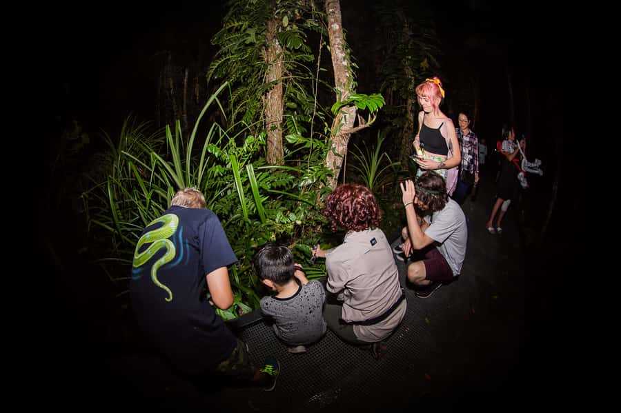 Cairns: Night Walk in Cairns Botanic Gardens - Booking details that matter