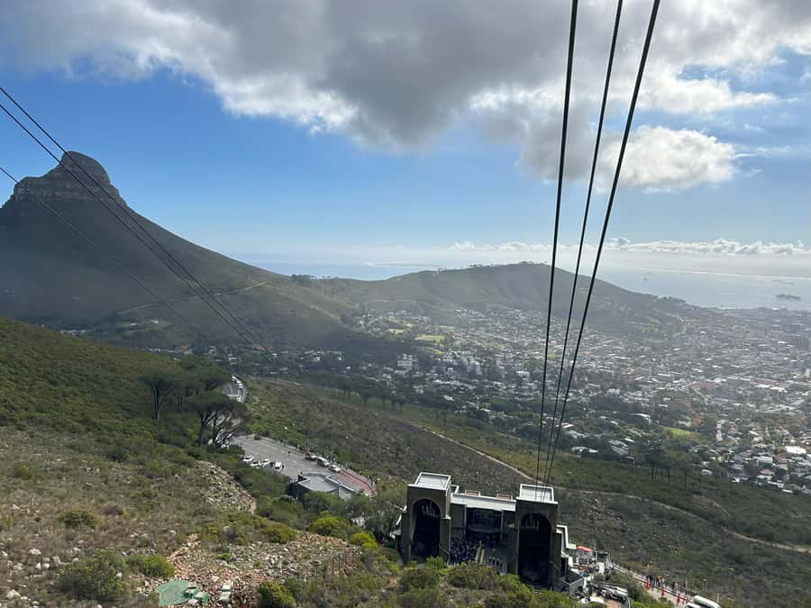 Cape Town: Half Day Table Mountain & Kirstenbosch Gardens - Why this half-day pairing works