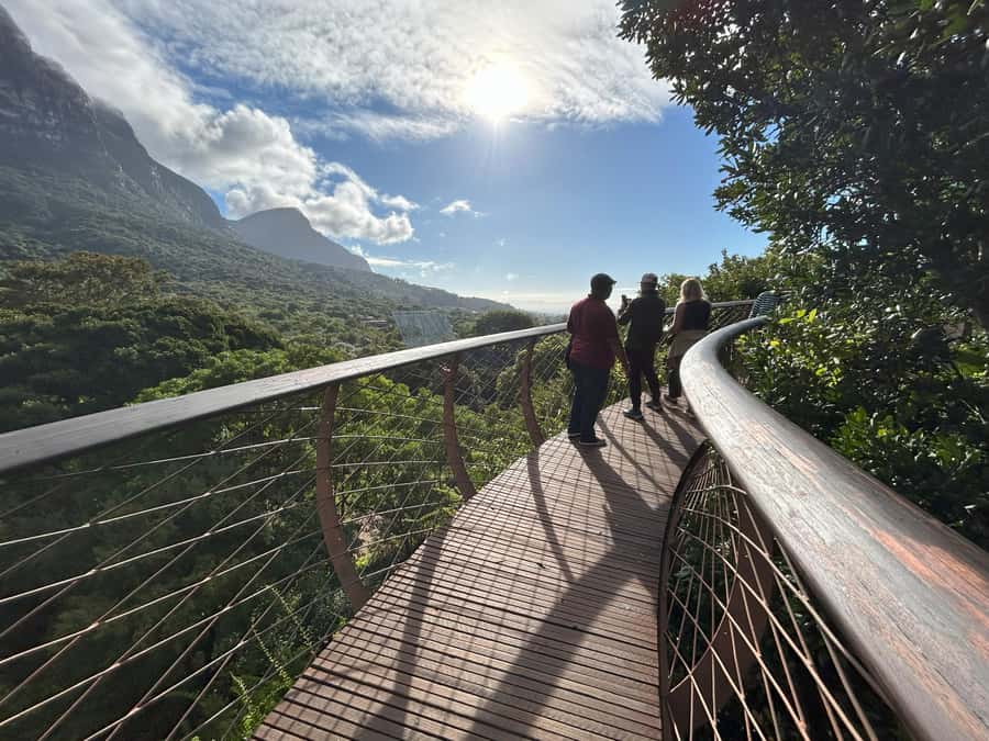 Cape Town: Half Day Table Mountain & Kirstenbosch Gardens - Walking through fynbos with a local guide
