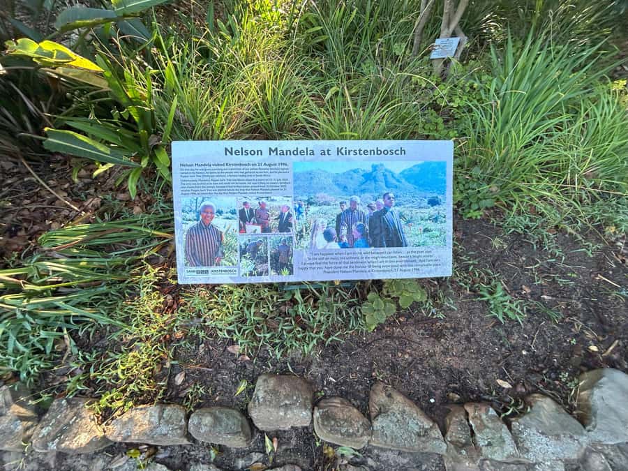 Cape Town: Half Day Table Mountain & Kirstenbosch Gardens - How much history fits into four hours