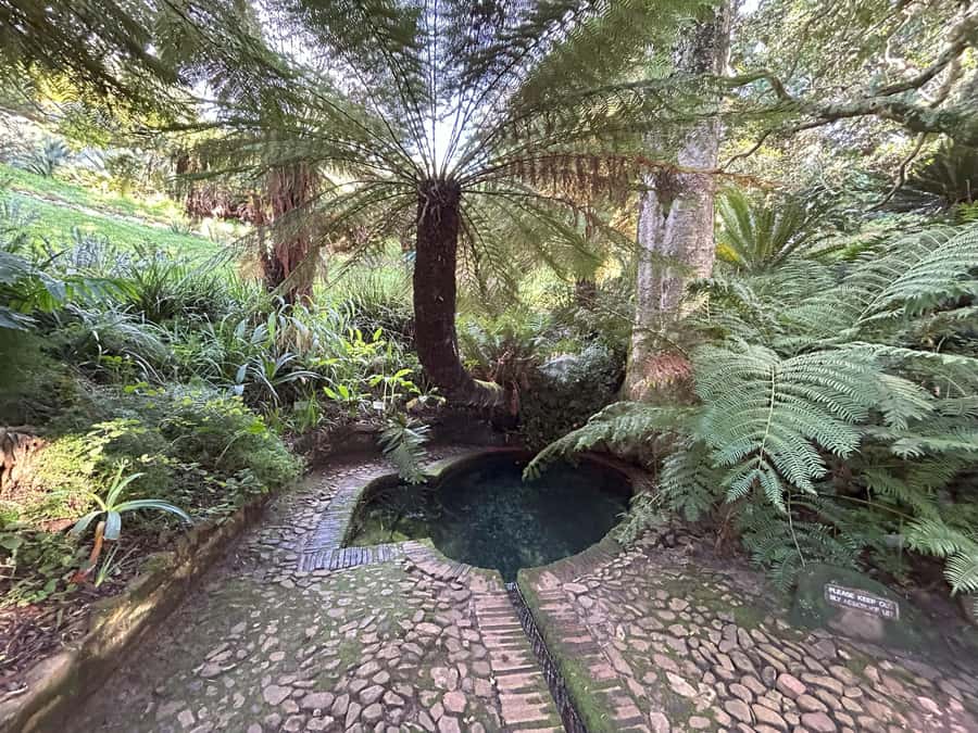 Cape Town: Half Day Table Mountain & Kirstenbosch Gardens - The $83 price and what it really covers