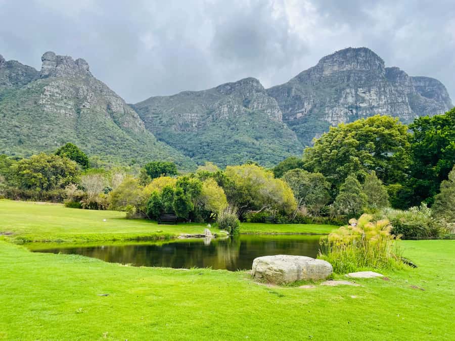 Cape Town: Kirstenbosch Botanical Garden Entry Ticket - Expect a walk, not a flat park stroll