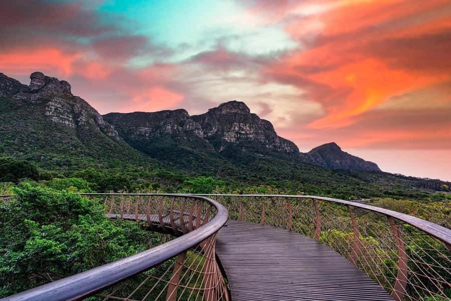 Cape Town: Kirstenbosch Botanical Garden Entry Ticket - Music, exhibitions, and the garden’s cultural side
