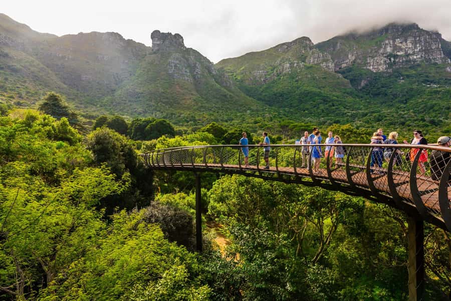 Cape Town: Kirstenbosch Botanical Garden Entry Ticket - The Boomslang walkway is the main event