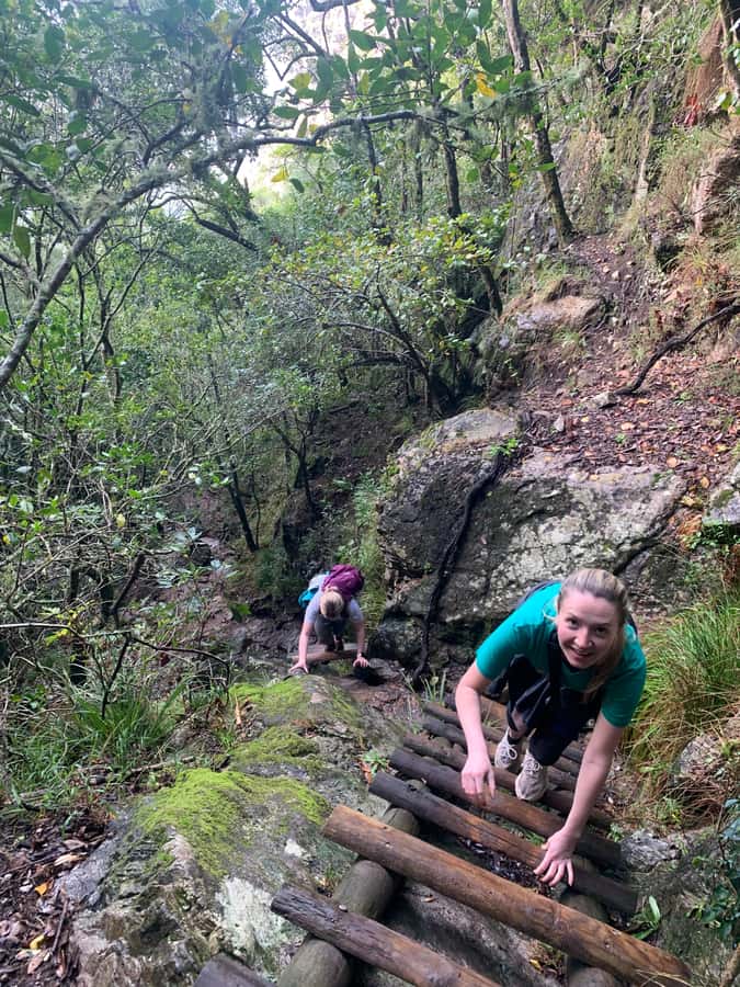 Cape Town: Skeleton Gorge and Kirstenbosch Gardens Hike - Ladders, waterfalls, and polished rock