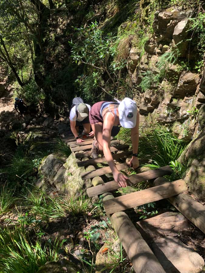 Cape Town: Skeleton Gorge and Kirstenbosch Gardens Hike - A guide who adds more than directions