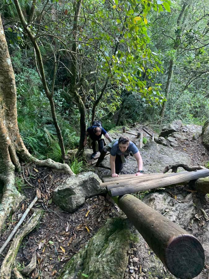 Cape Town: Skeleton Gorge and Kirstenbosch Gardens Hike - How hard is Skeleton Gorge in real terms?