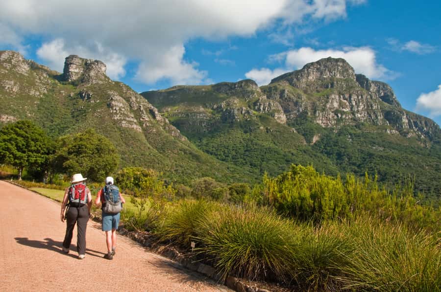 Cape Town: Skeleton Gorge and Kirstenbosch Gardens Hike - Is $93 good value?