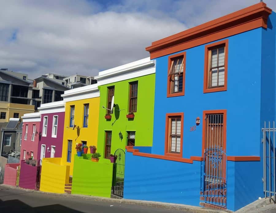 Cape Town: Table Mountain, Kirstenbosch Botanic Garden Tour - Three Cape Town highlights in one morning