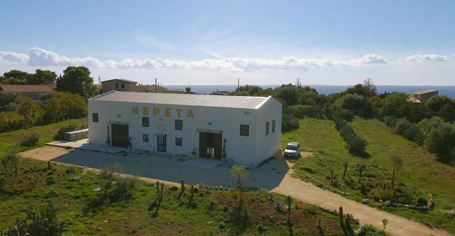 CASA NEPETA: Botanical Walk, Amari Production, and Tasting - Three herbs, three Sicilian amari