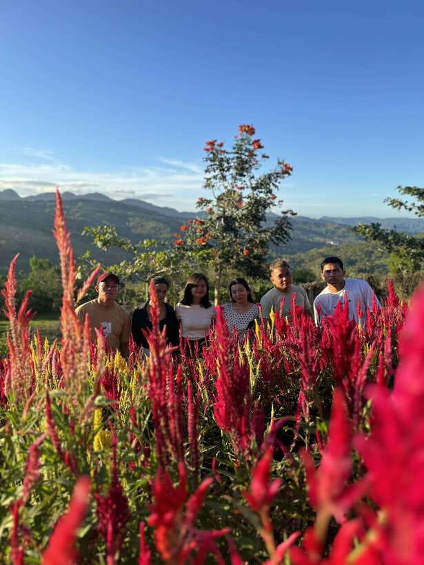 Cebu: City Highlights with Sirao Flower Garden Visit - Why this Cebu day tour works