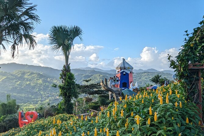 Cebu City with Sirao Garden Half Day Tour - Which kind of visitor will enjoy it most