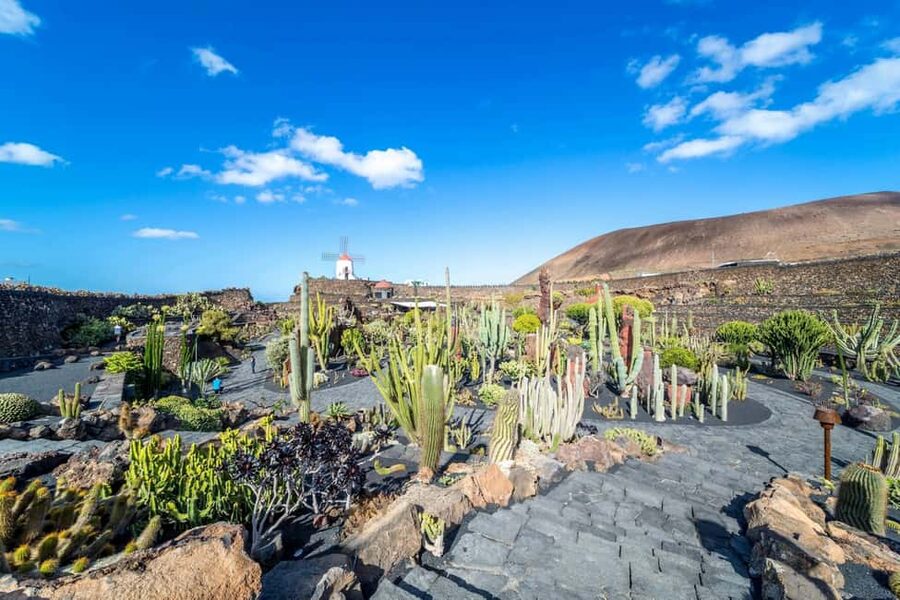 Cesar Manrique’s Lanzarote tour with Cactus Garden & LagOmar - Manrique’s home and studio inside the lava