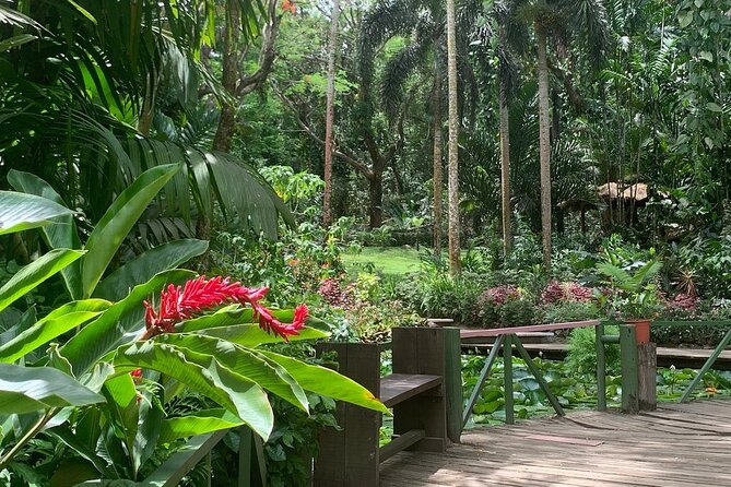 CFC Hot Spring Mud Pool,Garden Of Sleeping Giant And Village Visit Half Day Tour - Why this Nadi half-day trip works