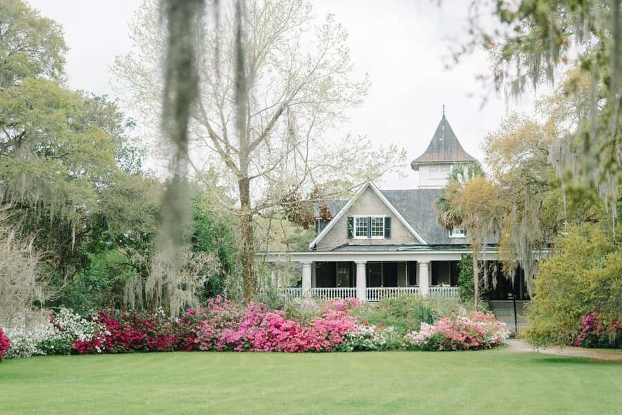 Charleston: Magnolia Plantation & Gardens Guided Tour - Gardens that reward an unhurried pace