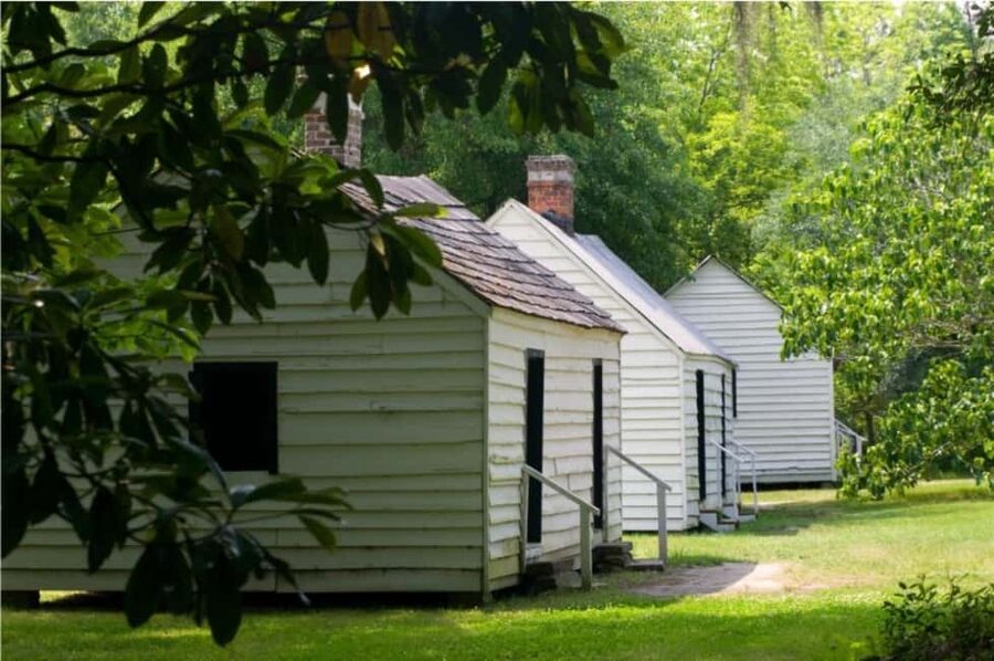 Charleston: Magnolia Plantation & Gardens Guided Tour - Is $75 a fair price?