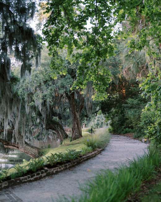 Charleston: Magnolia Plantation & Gardens Guided Tour - The Magnolia House and its changing stories