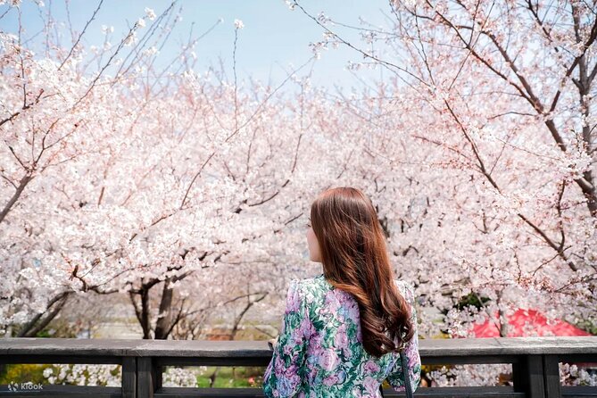 Chasing Cherry Blossom & Spring Flowers Day Tour from Seoul - Key points to know before booking