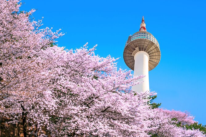 Chasing Cherry Blossom & Spring Flowers Day Tour from Seoul - Why this tour makes sense during cherry blossom season