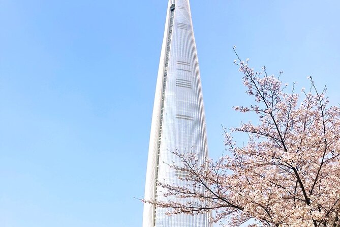Chasing Cherry Blossom & Spring Flowers Day Tour from Seoul - The guides can make the difference