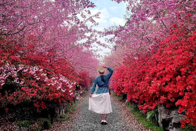 Chasing Cherry Blossom & Spring Flowers Day Tour from Seoul - Transport, pickup, and group size