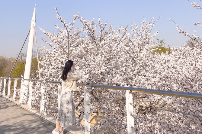 Chasing Cherry Blossom & Spring Flowers Day Tour from Seoul - A practical day for families and mixed groups