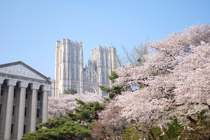 Chasing Cherry Blossom & Spring Flowers Day Tour from Seoul - Seoul, or farther into South Korea