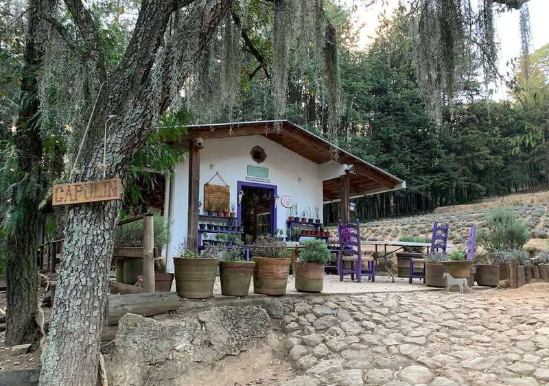Chautla's Castle, Lavender Farm, and Valquirico Private Tour - Why this Puebla day trip works