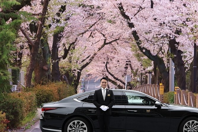 Cherry Blossom Private Tour - Key details at a glance