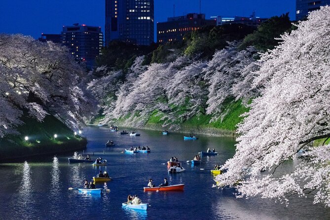 Cherry Blossom Private Tour - Guides, vehicles, and the private format