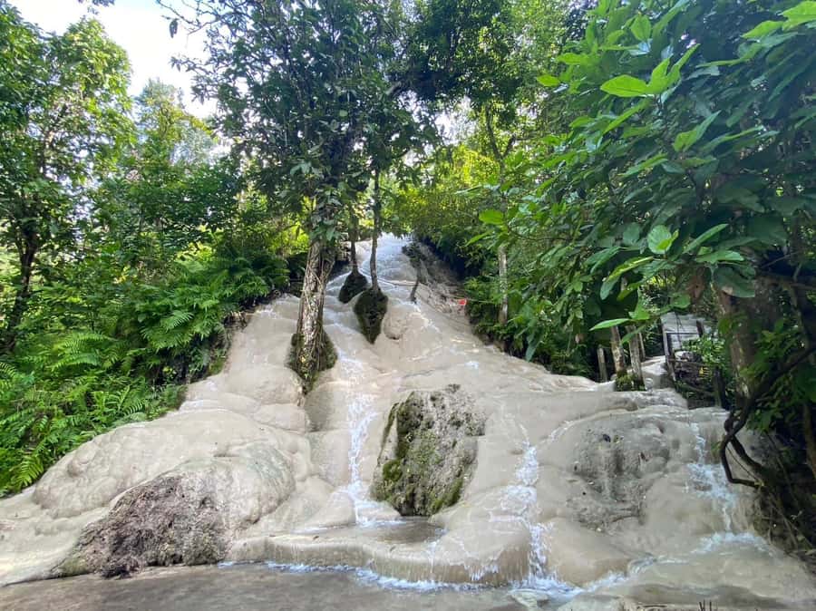 Chiang Mai: Doi Suthep, Orchid Farm and Waterfall with Lunch - Key points to know before booking