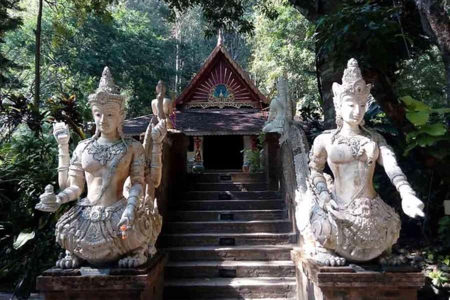 Chiang Mai: Doi Suthep, Orchid Farm and Waterfall with Lunch - A full day built around Chiang Mai’s best contrasts