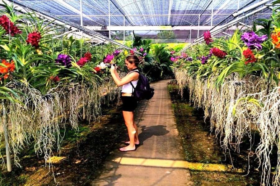 Chiang Mai: Doi Suthep, Orchid Farm and Waterfall with Lunch - Lunch before the afternoon water stop