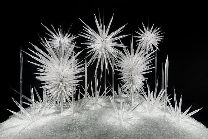 Chihuly Garden and Glass in Seattle Ticket - Demonstrations, films, and changing schedules
