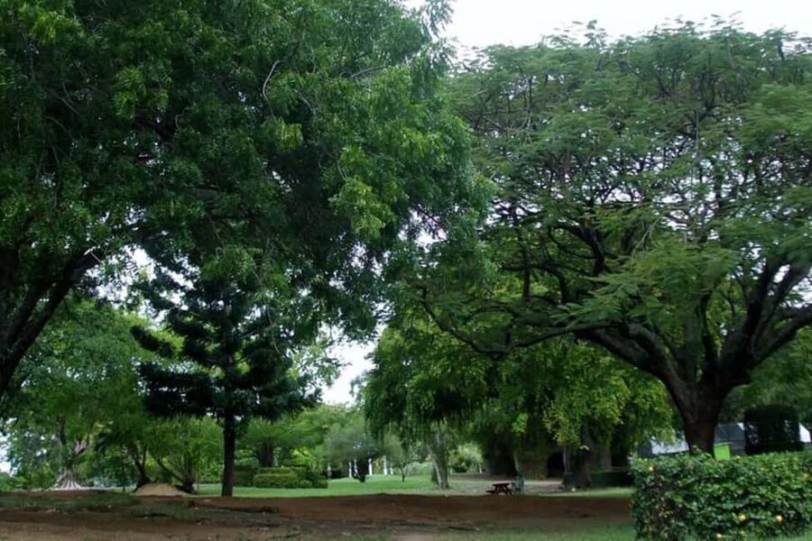 City Tour w/ Gardens, Volcano, Trafalgar Falls, Morne Bruce - Starting in Roseau, where the island story begins