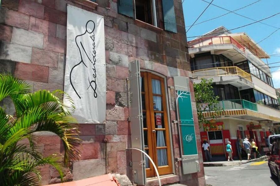 City Tour w/ Gardens, Volcano, Trafalgar Falls, Morne Bruce - A walk through the Dominica Botanic Gardens