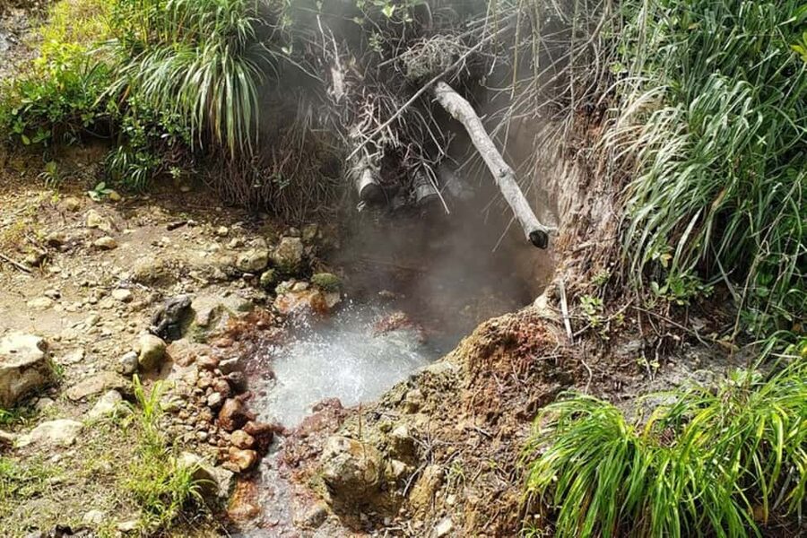 City Tour w/ Gardens, Volcano, Trafalgar Falls, Morne Bruce - Should you book it?