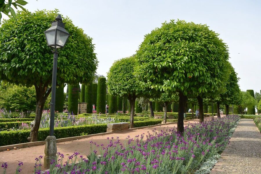 Cordóba: Gardens & Fortress of Catholic Monarchs Guided Tour - How much value do you get for $35?