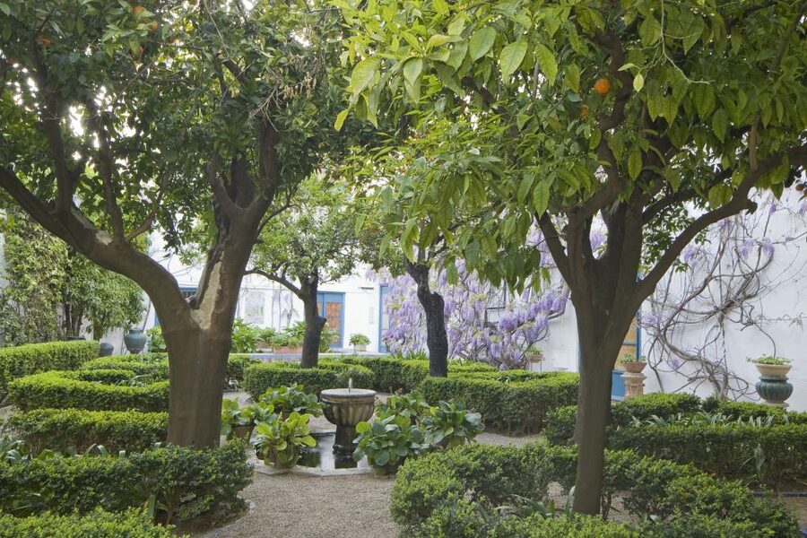 Córdoba: Viana Palace Gardens and Patios Entry Ticket - Entering at Plaza de Don Gome 2