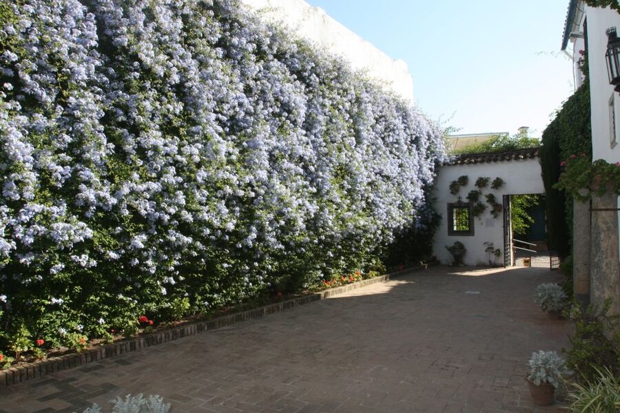 Córdoba: Viana Palace Gardens and Patios Entry Ticket - Roman, medieval, Moorish, and Renaissance touches