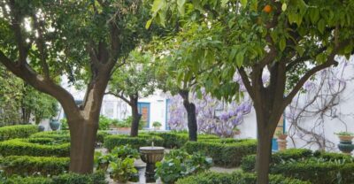Córdoba: Viana Palace Gardens and Patios Entry Ticket