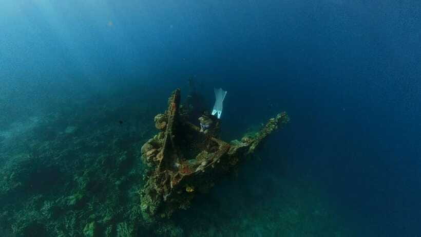 Coron: Barracuda Lake and Reef Garden Tour with Lunch - Twin Lagoons and the Warm-to-Cool Water Shift