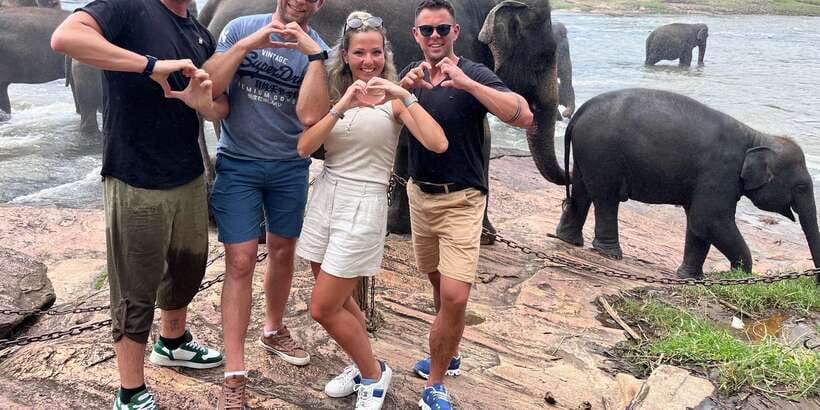 Day Tour to Elephant Orphanage / spice garden - A short local restaurant stop