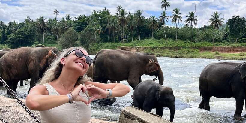 Day Tour to Elephant Orphanage / spice garden - Guides, vehicles, and family needs