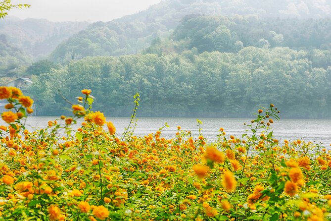 Day Trip to Nami Island with Rail bike and The Garden of Morning Calm - Gangchon Rail Park: the day’s most unusual activity