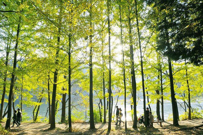 Day Trip to Nami Island with Rail bike and The Garden of Morning Calm - How the long day feels in practice